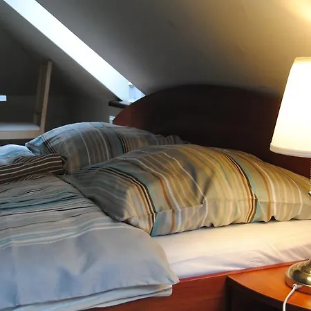 Guest house Chamonix Miedzybrodzie Bialskie